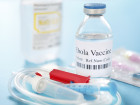 Feds Give $43 Million To Fast Track Development Of Ebola Vaccines