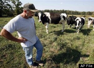 Raw Milk