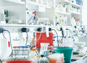 Vladimir Mironov Lab Grown In Vitro Meat