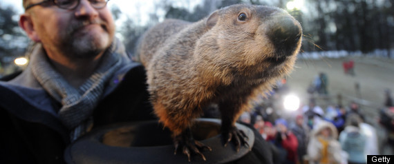 Punxsutawney Phil