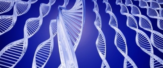 Prostate Cancer Test