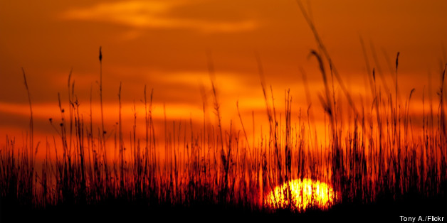 A Lesson in Love, Life and Sunsets