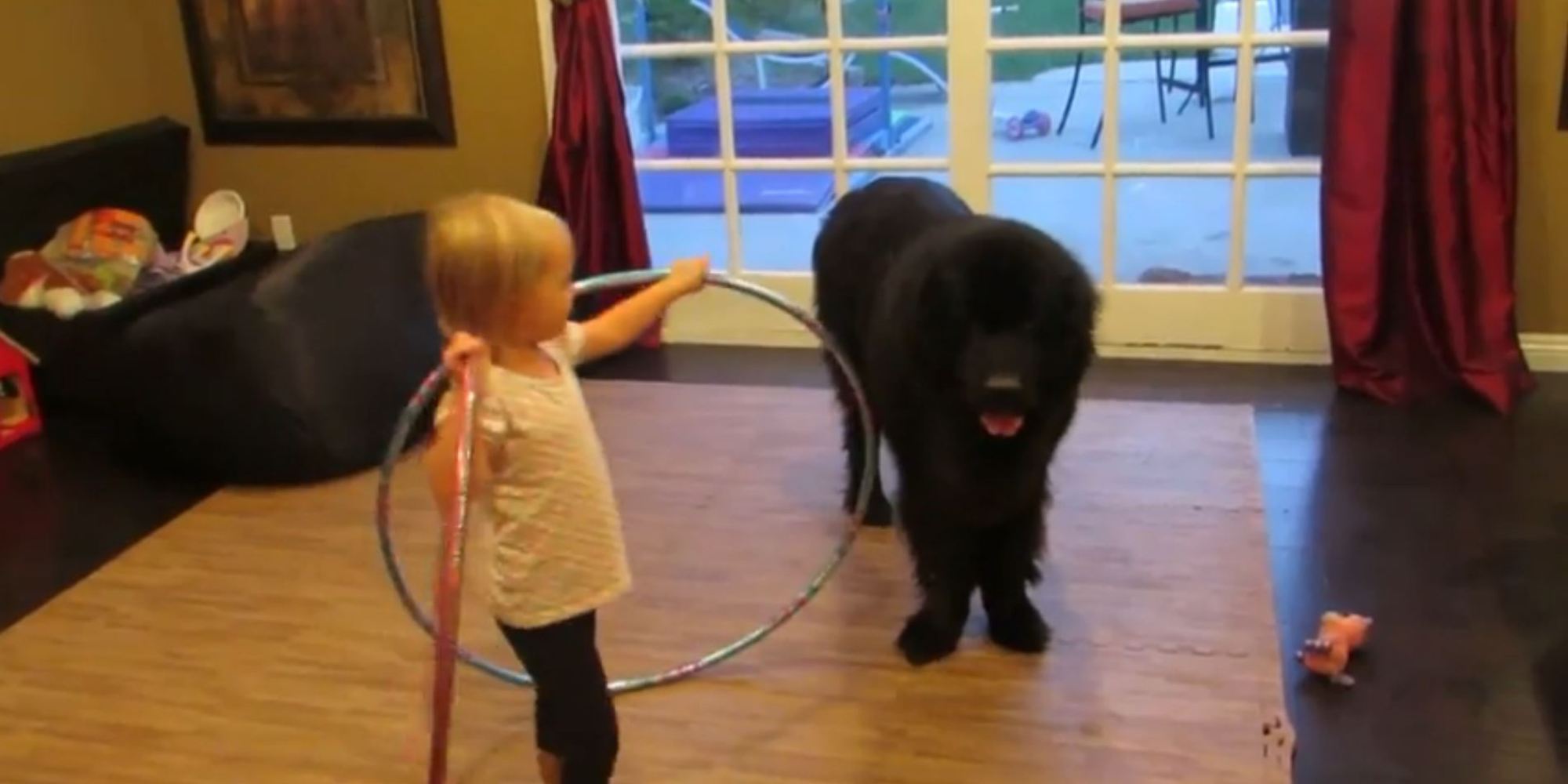 Adorable Toddler Tries Teaching Dog to Hula Hoop HuffPost UK