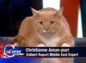 Christian Aman Purr
