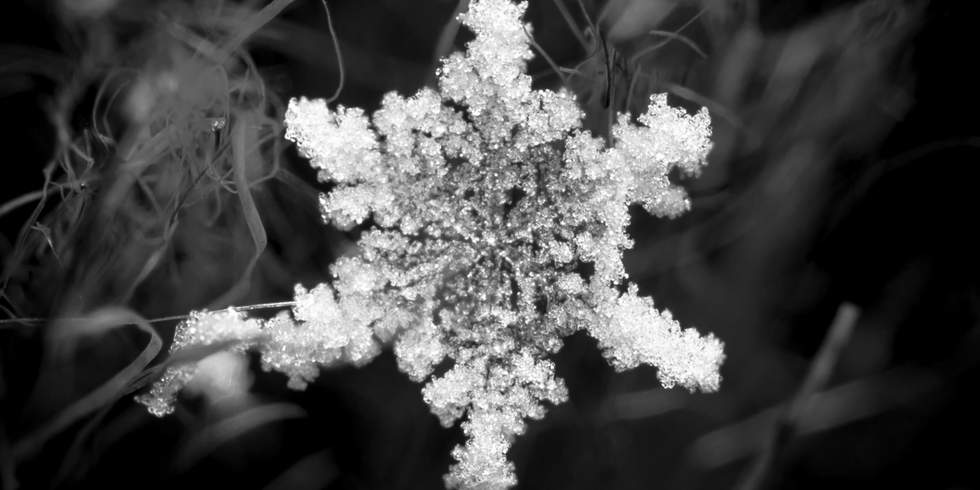 Snowflakes Come In 35 Different Shapes, Scientists Say HuffPost
