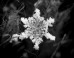 Snowflakes Come In 35 Different Shapes, Scientists Say