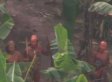 Uncontacted Amazon Tribe Filmed, Governments Take Notice (VIDEO)