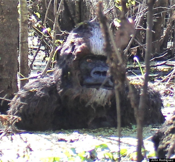 Fisherman Says He Saw Bigfoot Bathing  O-TAMPASKUNKAPE-570