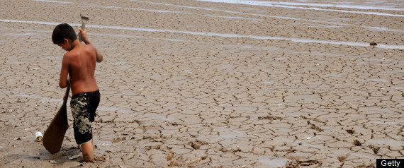 Amazon Drought