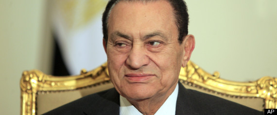 Egypt Reform Committees