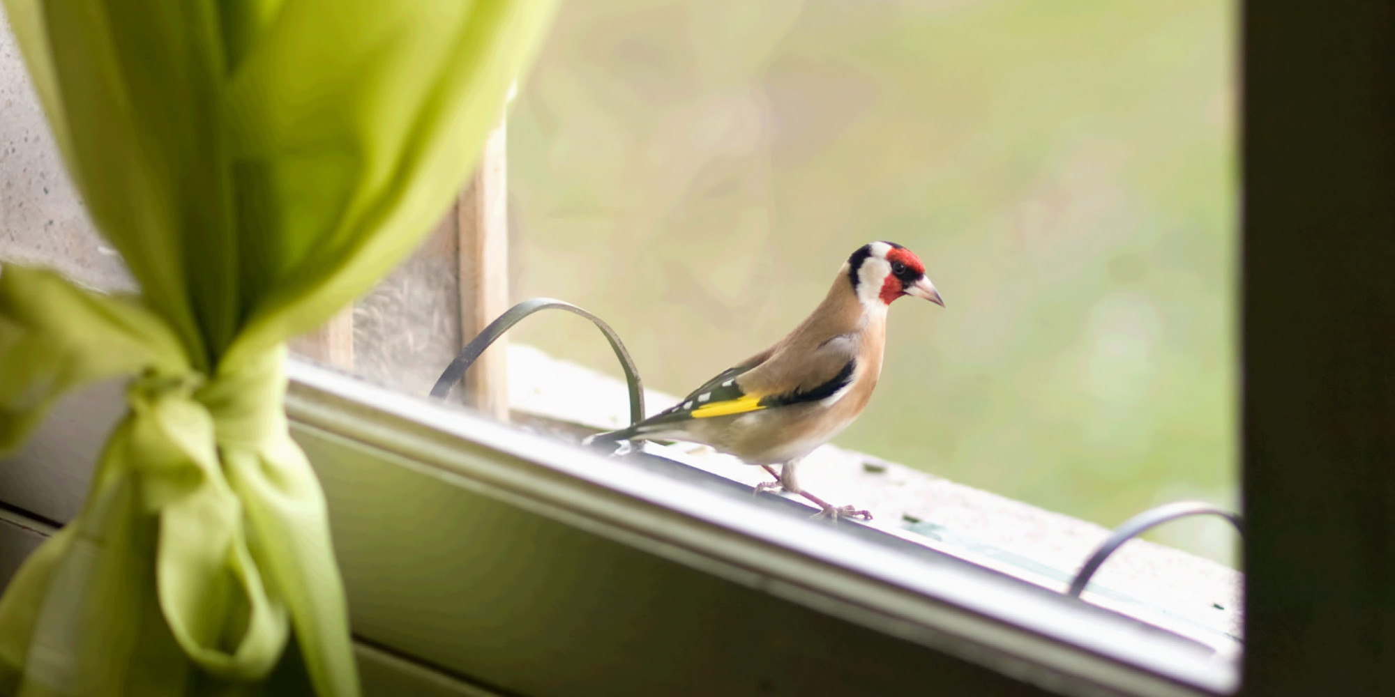 Change The Course of History... For You And Your Loved Ones HuffPost