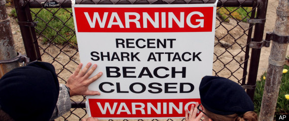 Shark Attacks 2010