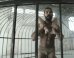 A Nearly Naked Shia LaBeouf Cage Wrestles In Sia's New 'Elastic Heart' Video