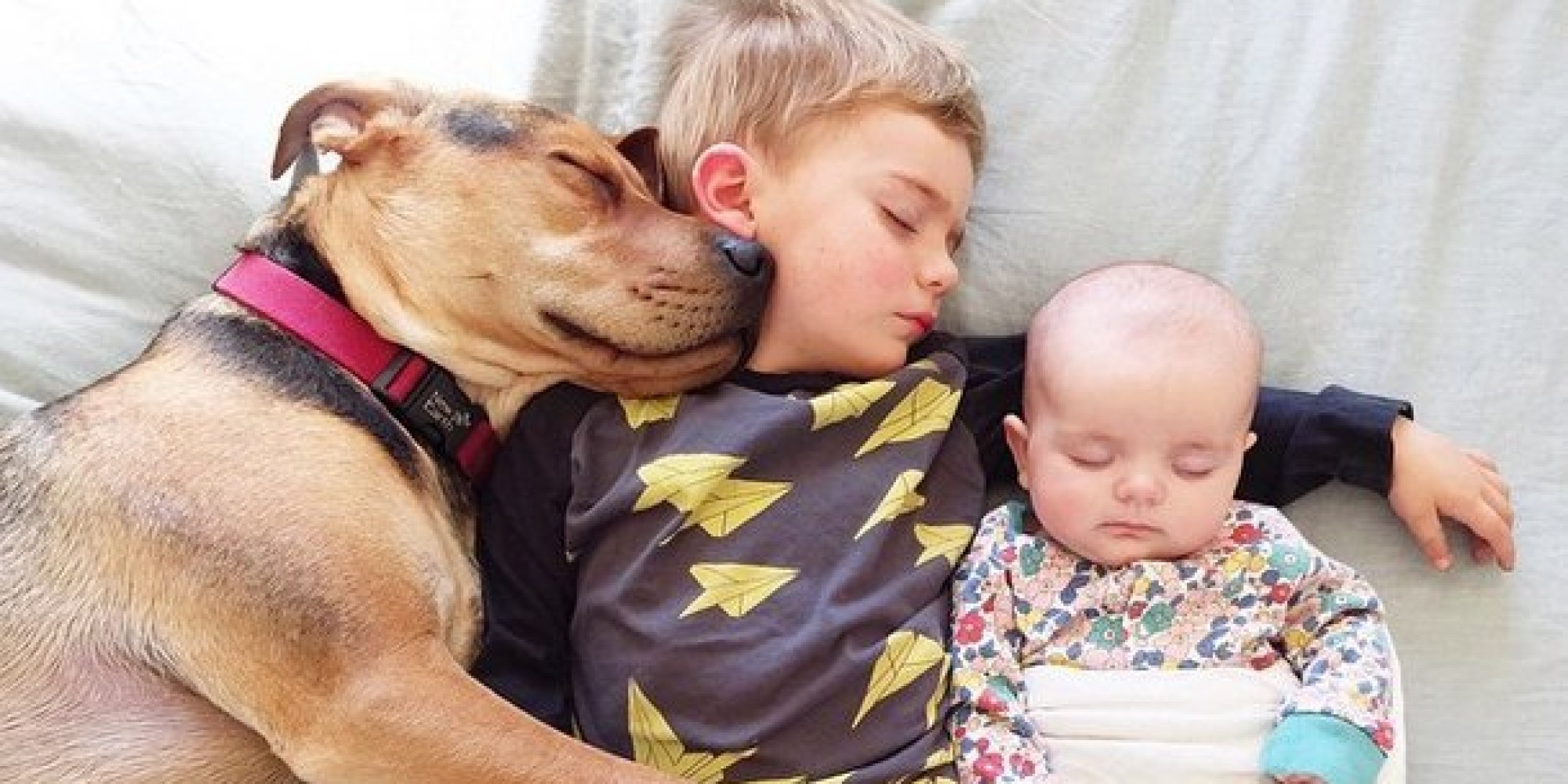 Famous Nappers Theo And Beau New Baby Sister To Their Cuddle