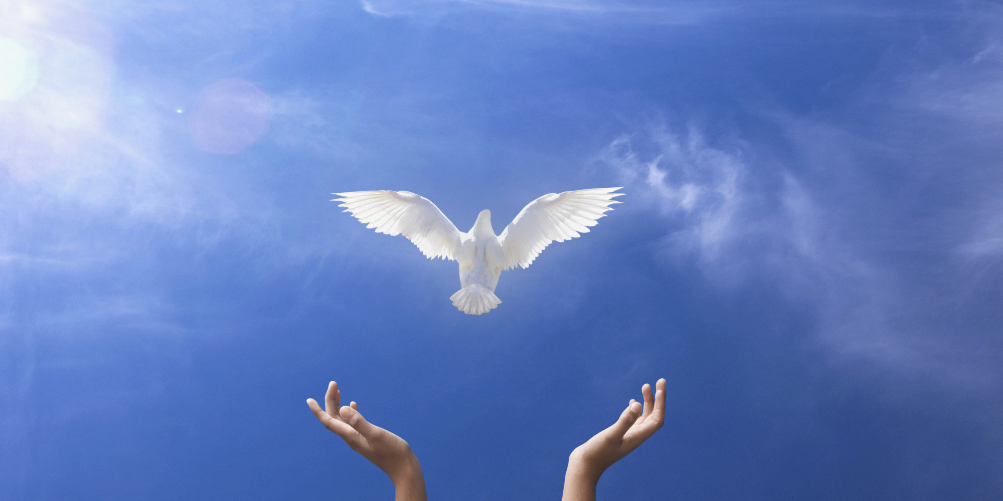 Religious Freedom 2014 The Year in Review The