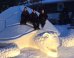 Brothers Build A MASSIVE Snow Sea Turtle, Put Your Snowman To Shame