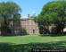 ivy-league