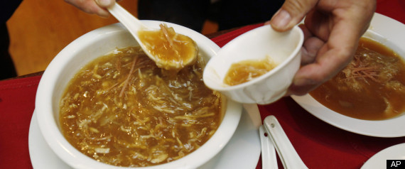Shark Fin Ban