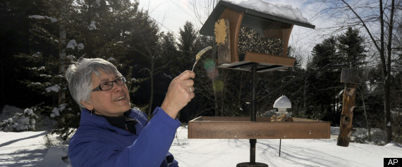 Bird Counter