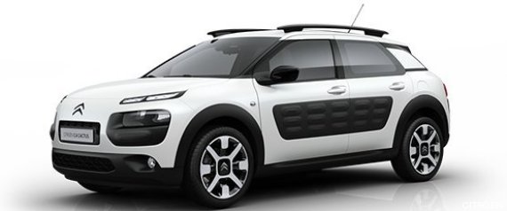 c4 cactus