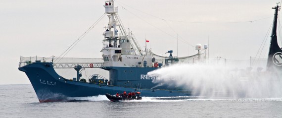 Whaling