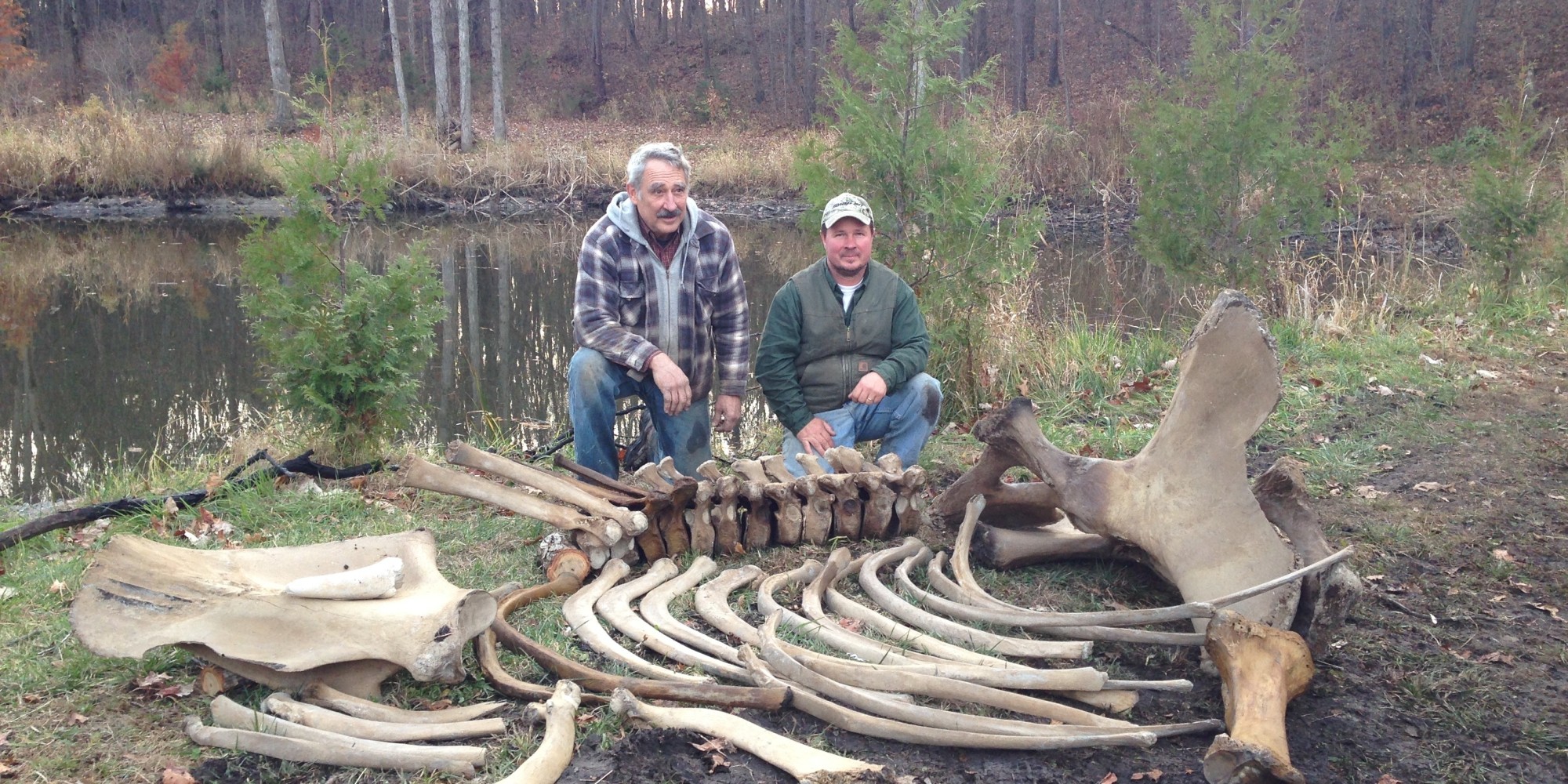 Mastodon Bones Discovered In Michigan Man's Yard