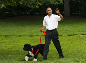 Obama Hates Bo