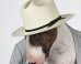 The Most Fashionable Dogs on Instagram
