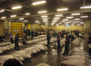 Predator Fish Decline