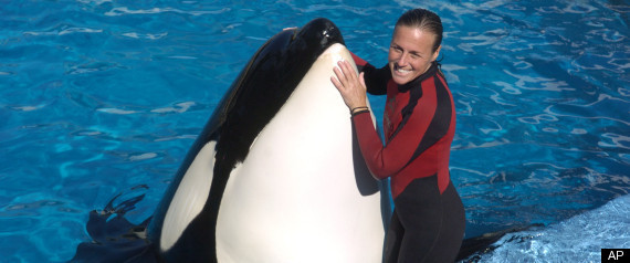 Seaworld Trainers