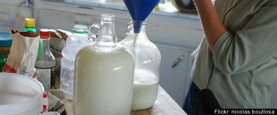 Raw Milk
