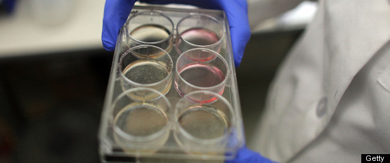 Nih Drug Development