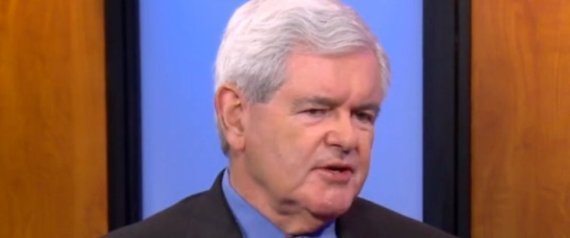 Newt Gingrich Doma