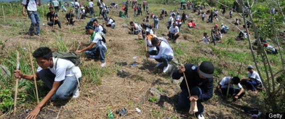 Tree Planting Record