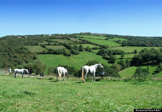 galicia