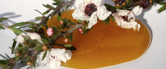 MANUKA HONEY BENEFITS