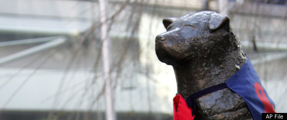 Hachiko