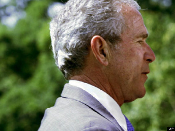 Rove Bush