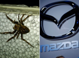 Spiders Mazda