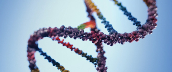 Heart Disease Gene