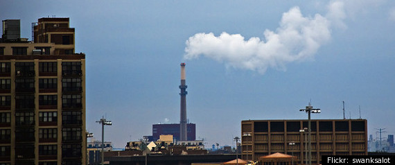 Coal