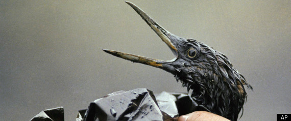 Exxon Valdez