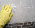 How To Get Rid Of Mold Once And For All