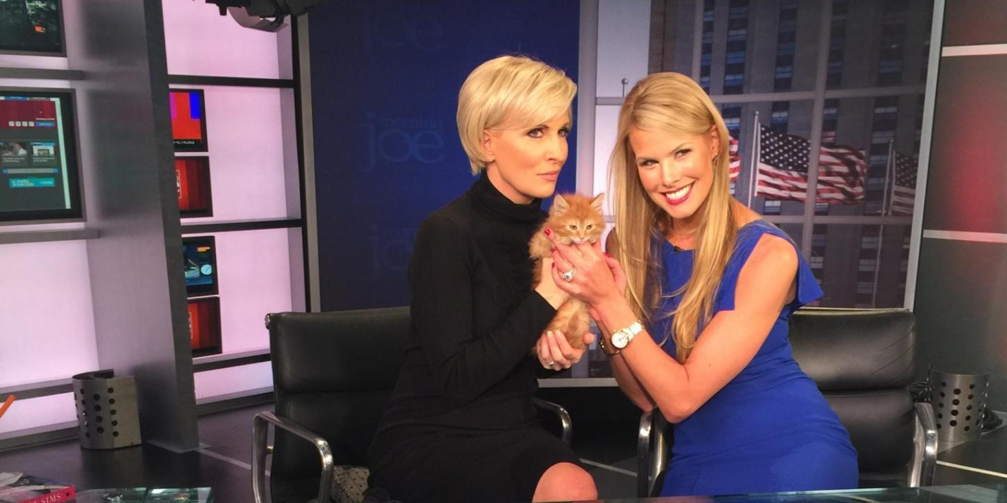 Mika Brzezinski's Daughter Is Getting A Kitten For Her Birthday | HuffPost