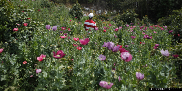 Mexican Cartels Expand Offerings To Feed America's Growing Heroin Addiction