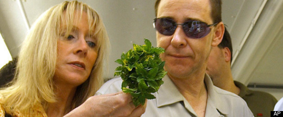 Vegetable Vegetarian
