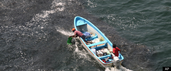 Acapulco Mexico Fish Mass