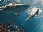 Rihanna Swims With The Sharks. Literally. 