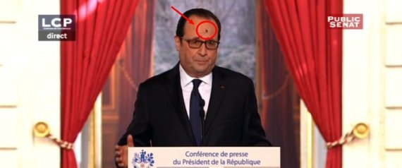 n-MOUCHE-HOLLANDE-PHOTO-large570.jpg