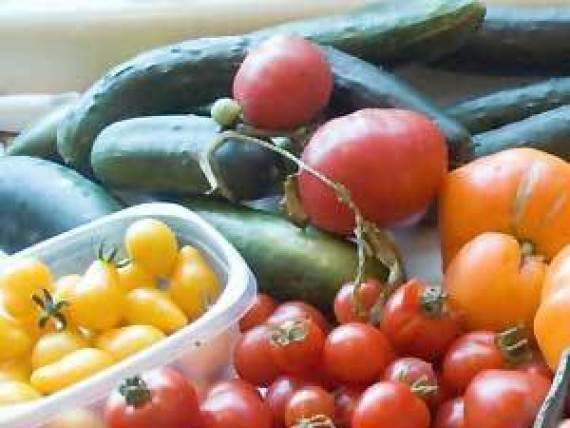Vegetable Garden